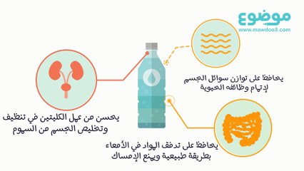 فوائد شرب الماء