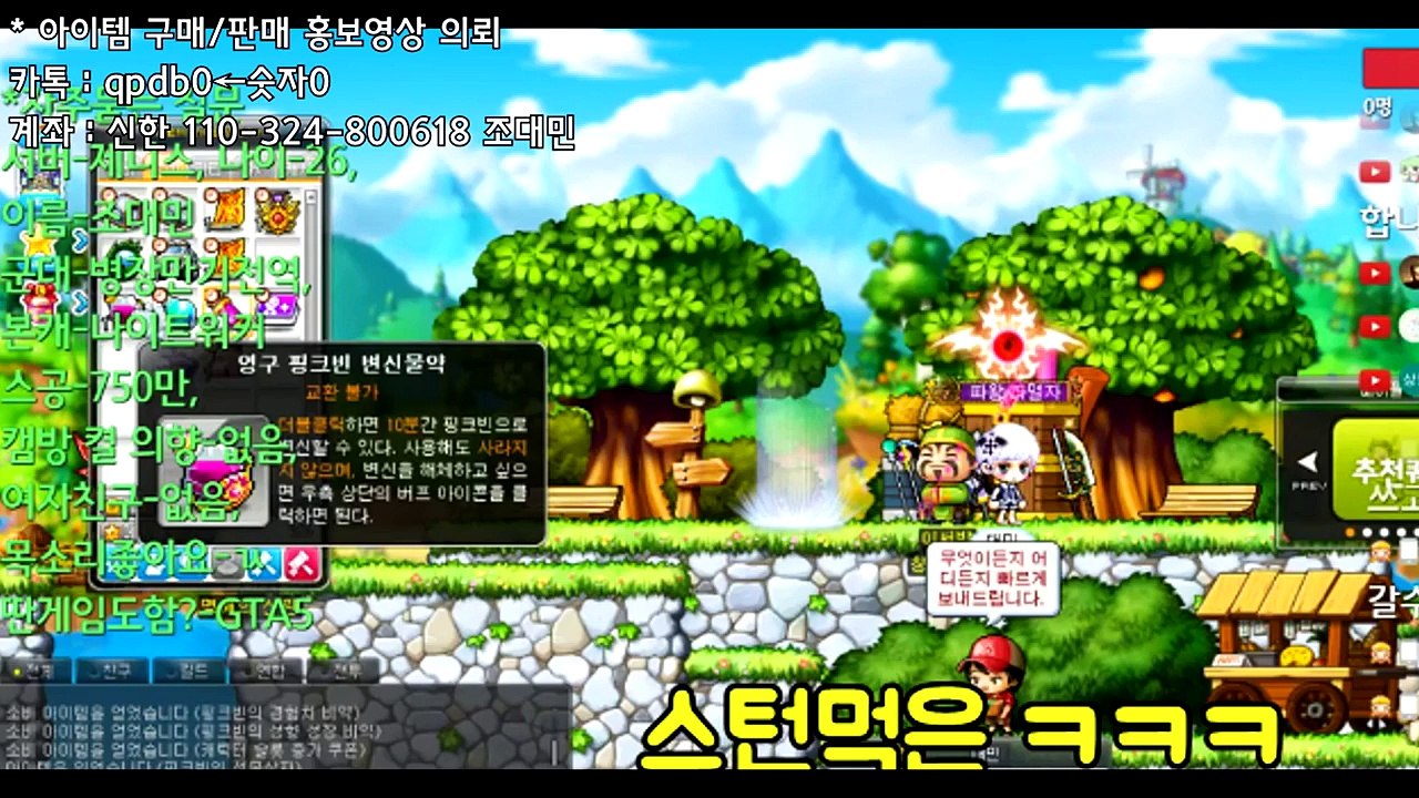 개논리 핑크빈이 전사인 진짜 이유 [메이플스토리 대민]