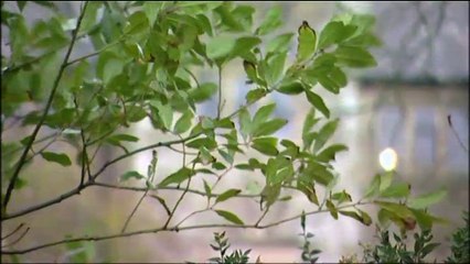 Most Haunted Season 6 Episode 11 Arreton Manor