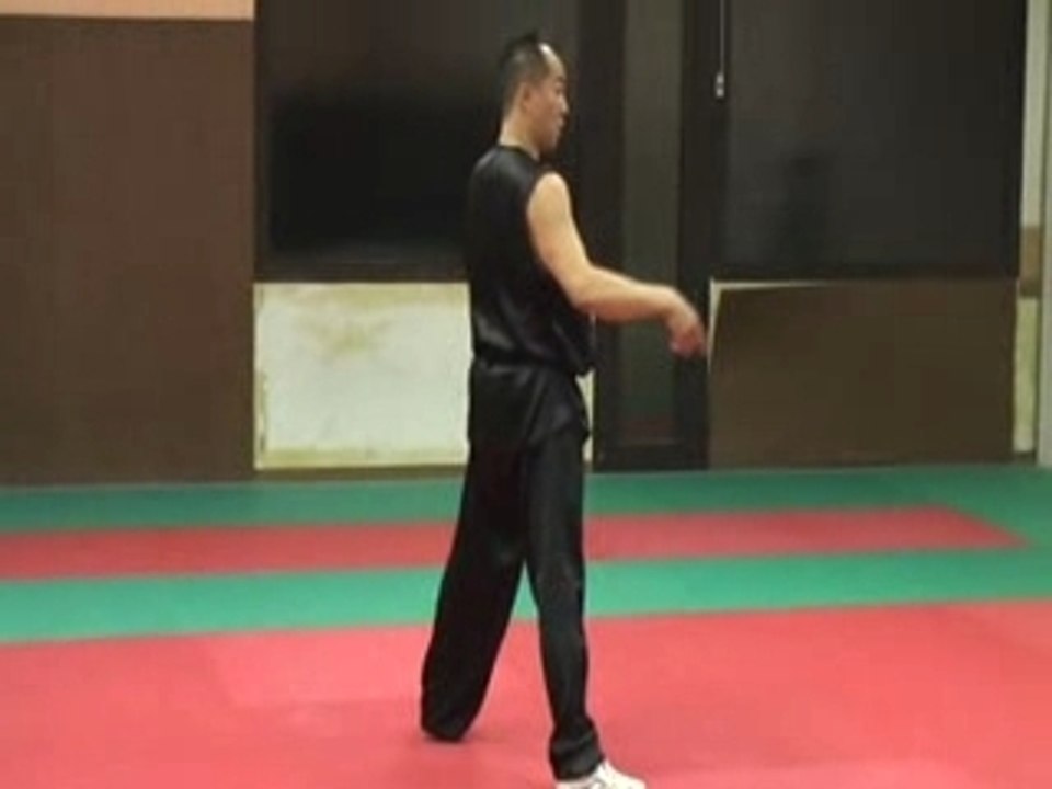 Détails stage 16.11.2007 avec John Chan Kin