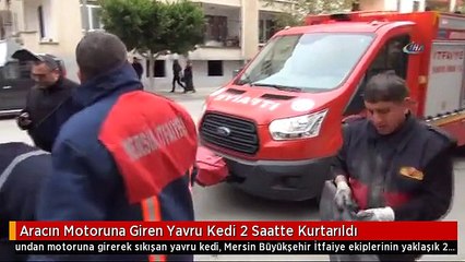 Aracın Motoruna Giren Yavru Kedi 2 Saatte Kurtarıldı