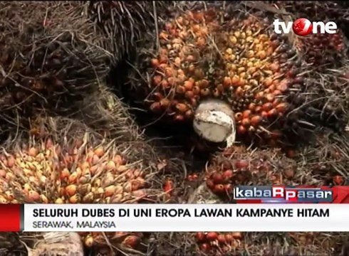 Larangan Sawit uni Eropa Ancam Jutaan Petani Kecil