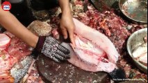 Amazing Cutting Fish, Big Fish Fastest Cutting Skills, Fish Market in Cambodia - Part 02