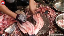 Amazing Cutting Fish, Big Fish Fastest Cutting Skills, Fish Market in Cambodia - Part 03