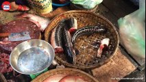 Amazing Cutting Fish, Big Fish Fastest Cutting Skills, Fish Market in Cambodia - Part 04