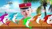 Learn Colors with Baby Crying and Shark Finger Family Song Nursery Rhymes for Kids Children Toddlers