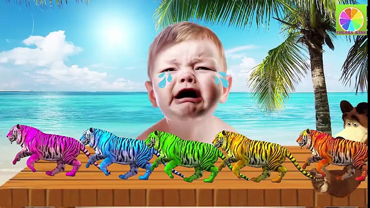Learn Colors with Tiger Baby Cry Learn Colors With Finger Family Nursery Rhyme Song Toy Baby