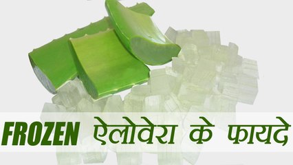 Frozen Aleo vera More Beneficial | फ्रिज में जमा ऐलोवेरा है ज्यादा फायदेमंद |Boldsky