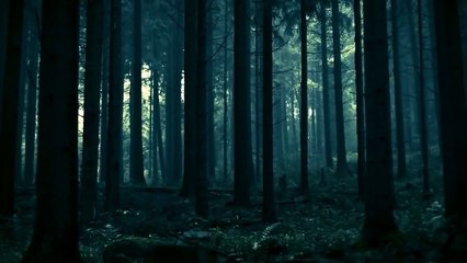 Apple iPhone X vs LG V30