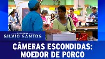 Câmeras Escondidas - Moedor de porco