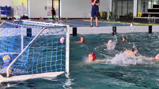 TROPHEE DES SPORTS 2017 - NATATION WATER POLO