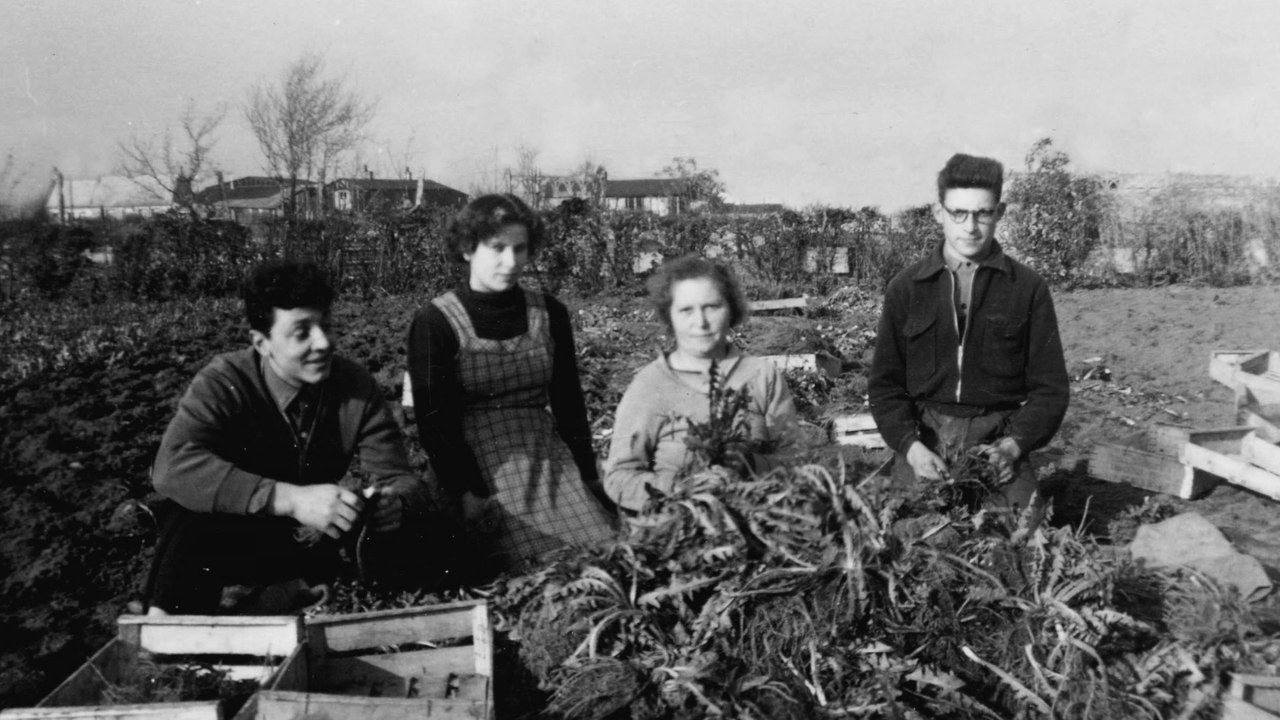 Actus : Les légumes anciens de notre terroir, épisode 3/3 - 24 Novembre 2017