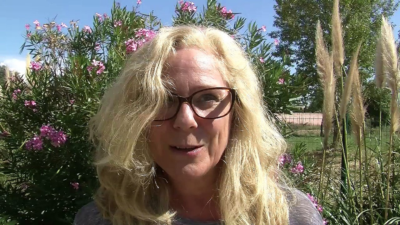 Le Ping Tour fait étape à Istres samedi