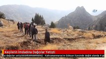 Keçilerin İmdadına Dağcılar Yetişti