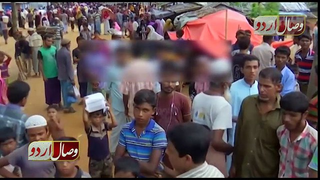 Current Situation Of Rohingya Muslims | روہنگیا مسلمانوں کی حالیہ صورتحال