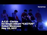 [INSIDE SHOWCASE] 170522 A.C.E (에이스) Debut Stage - CACTUS (선인장)