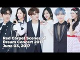 Red Carpet Scenes of Dream Concert 2017