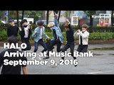 160909 HALO (헤일로) arriving at Music Bank @Kpopmap
