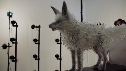Star Wars: The Last Jedi | Evolution of the Crystal Fox