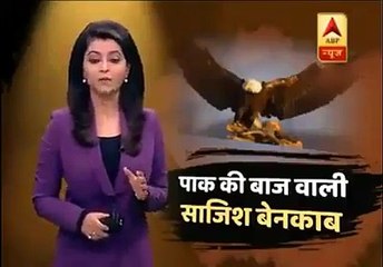 ‫بھارتی افواج نے پاکستانی جاسوس -باز‬