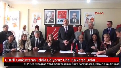 CHP'li Cankurtaran: İddia Ediyoruz Ohal Kalkarsa Dolar Düşecektir