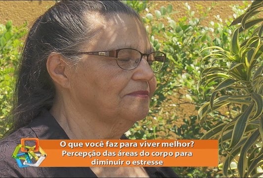 Série: o que você faz para viver é melhor! Técnicas para diminuir o estresse
