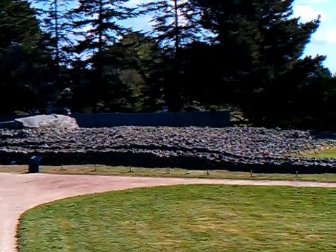 Locmariaquer-Mégalithes (7)