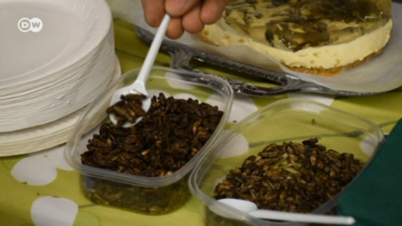 Alimentos à base de insetos chegam à Finlândia