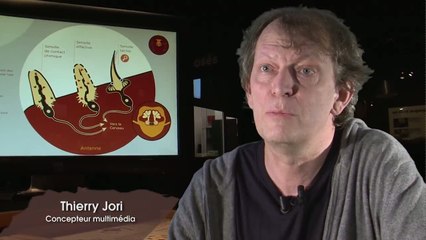 Interview métier, exposition "Mille milliards de fourmis", 2014