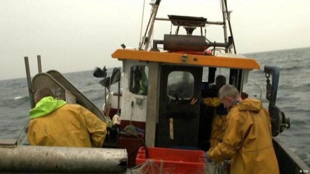 نزاع بين صيادي أسماك هولندا وبريطانيا بسبب البريكسيت