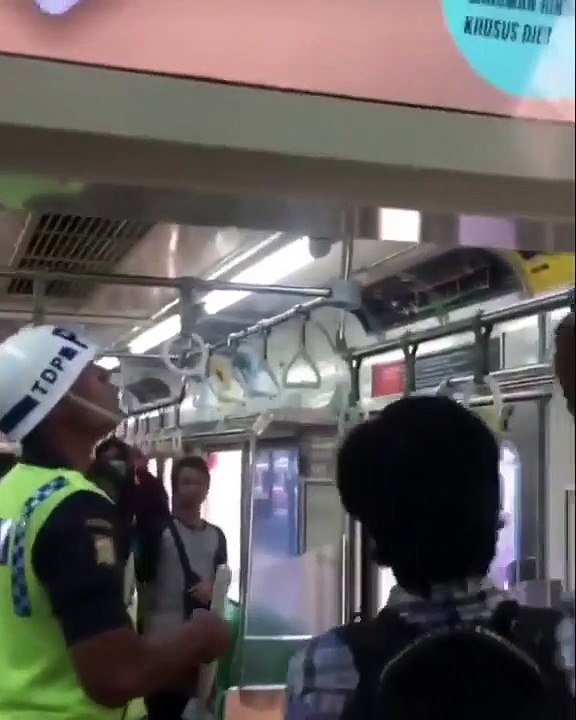 Il tue un serpent dans un train