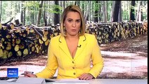 Andreea Esca Interviu Cu Robotul Sophia 10 Mai 2018 Video
