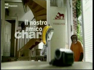 Il nostro amico Charly 14x01 - Charly Cambia Casa