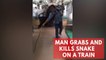 Man grabs and kills snake on a train with his bare hands