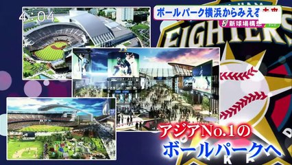 【日本ハム】キーマンが語る新球場　札幌ドームのジレンマ選手が激白