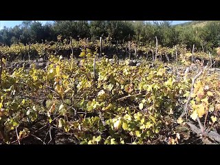 Tour d'Europe de Zaz et Benj épisode 6