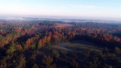 Drone Footage Captures Fog Wall Over Ridge Spring, South Carolina
