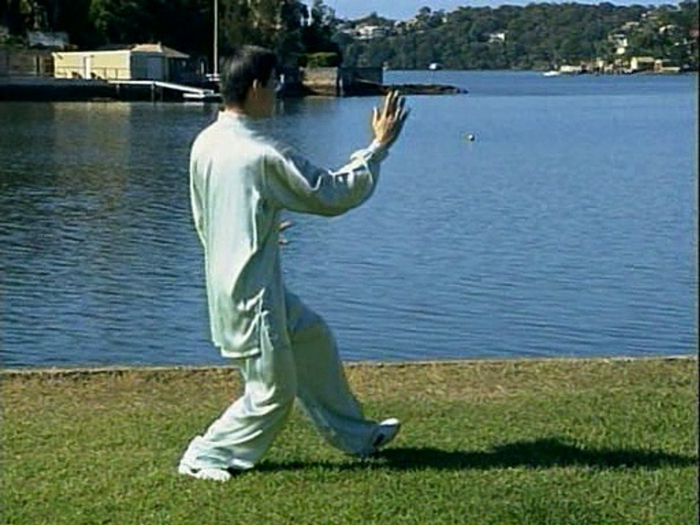 Tai Chi - 24 Basic Forms Demonstration - video Dailymotion