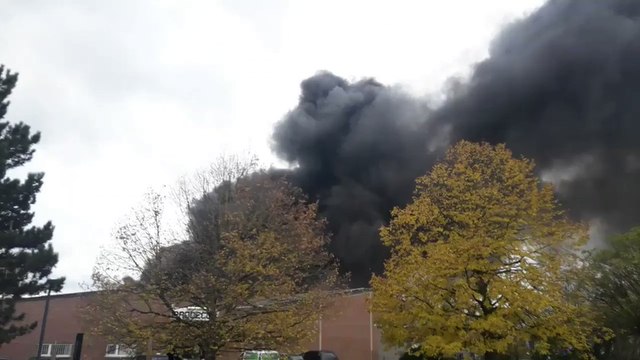 Brussels Filled With Smell of Waffles as Nearby Factory Goes up in Flames