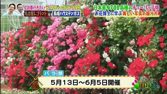 おじゃマップ　2017年4月19日 170419 p1