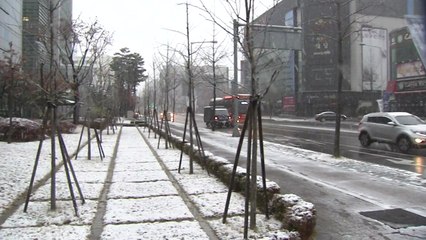 충청 대설주의보..."낮까지 최고 5cm 더" / YTN