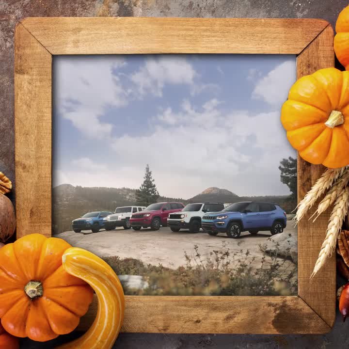 Happy Thanksgiving!