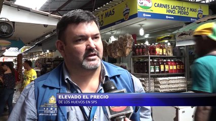 Elevado el precio de los huevos en San Pedro Sula