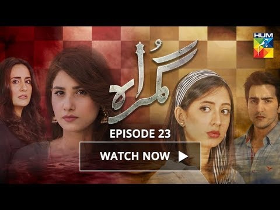 Gumraah Episode 23 HUM TV Drama  21 November 2017