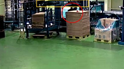 [자막뉴스] 특성화고 실습생 이 군의 가장 슬픈 생일 / YTN