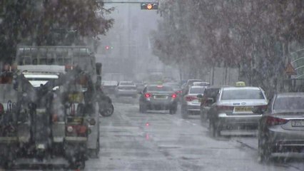 [날씨] 충청 대설주의보 해제...눈길에 쿵쿵쿵 / YTN