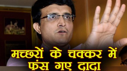 Sourav Ganguly in trouble, gets NOTICE from Municipal Corp. ; Here's why | वनइंडिया हिंदी