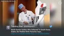 Parasitic Worms In Defector Reveal Health Conditions In N Korea