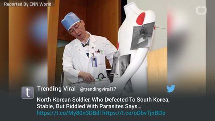 Parasitic Worms In Defector Reveal Health Conditions In N Korea