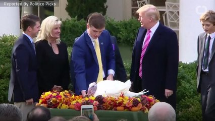 Trump's Twitter Fights With Black Athletes Escalate